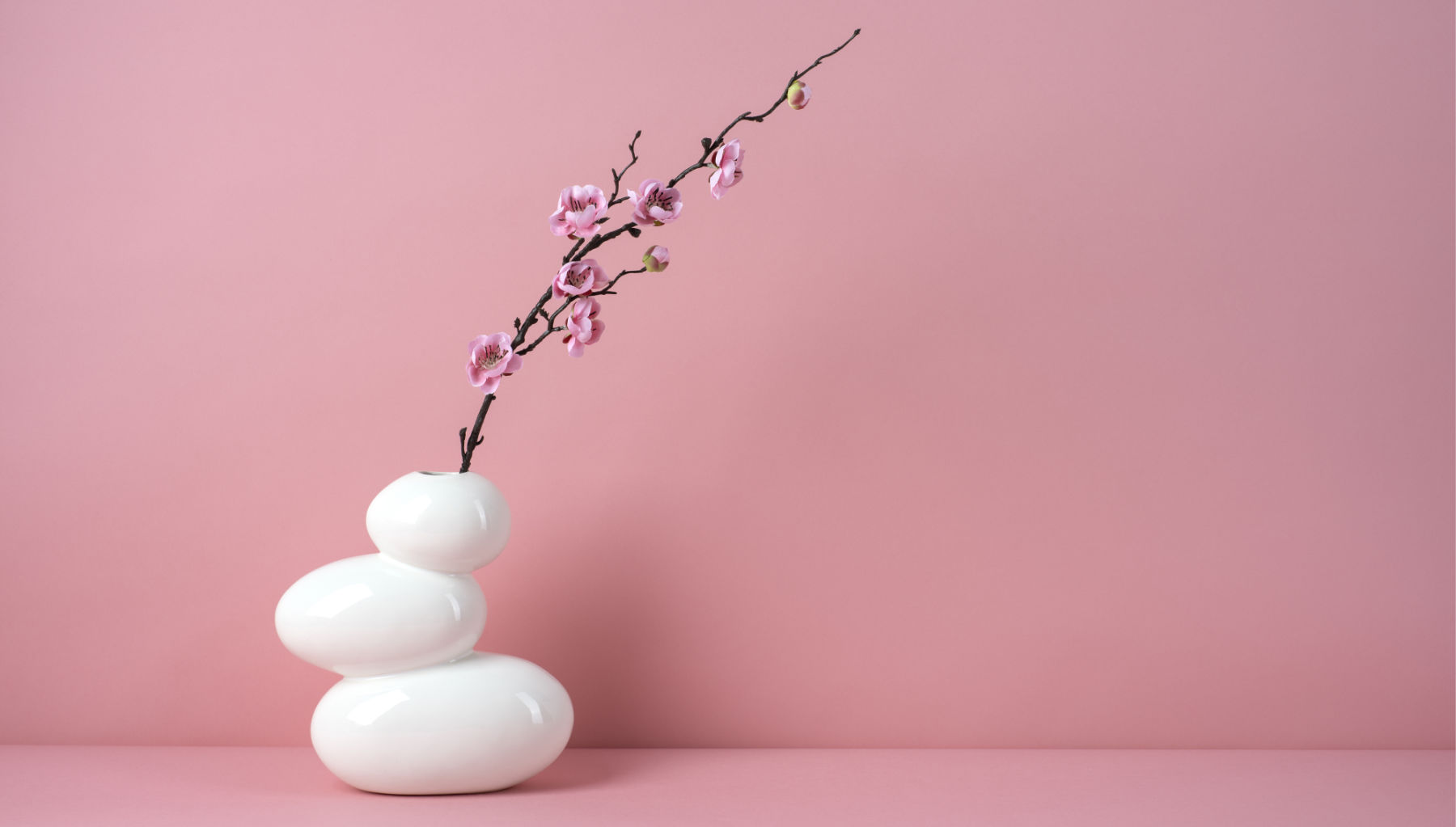 Un fiore che cresce come il tuo valore su un ecommerce non facendo questi errori